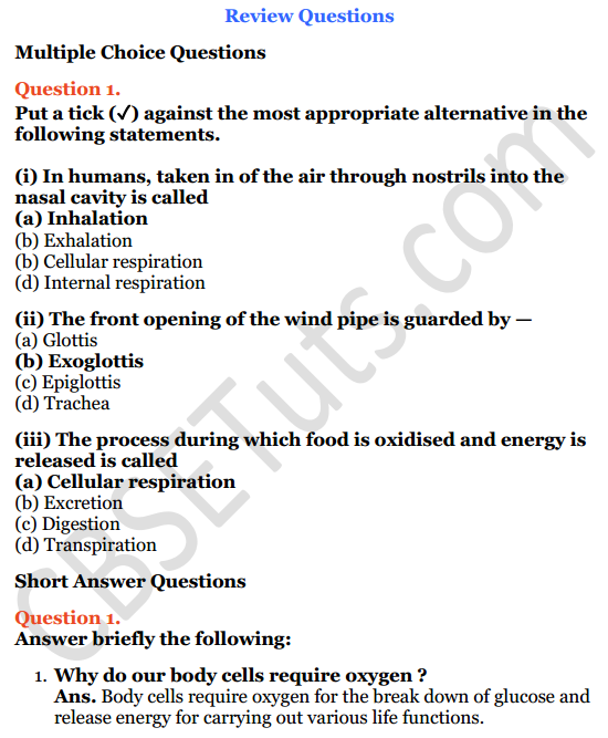 selina-concise-biology-class-6-icse-solutions-chapter-5-respiratory-system-cbse-tuts