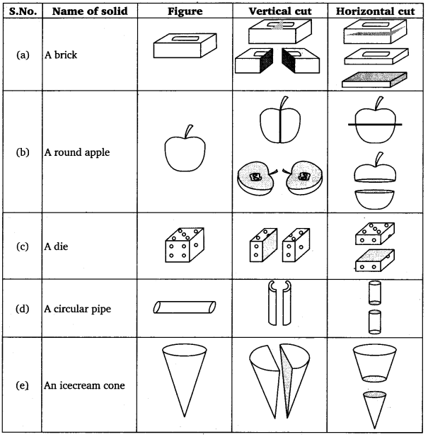 ncert-solutions-for-class-7-maths-chapter-15-visualising-solid-shapes-ex-15-3-cbse-tuts