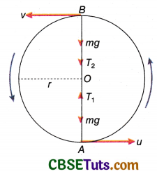 Mass-Energy Equivalence : Formula, Explanation and Solved Examples ...