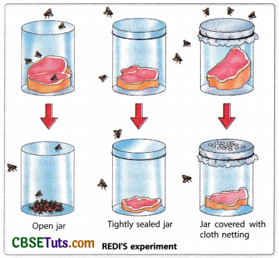 spontaneous generation considered a controlled experiment