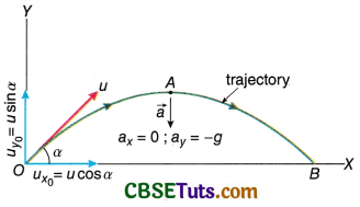 Projectile Motion : Definition, Concepts and Solved Examples - CBSE Tuts